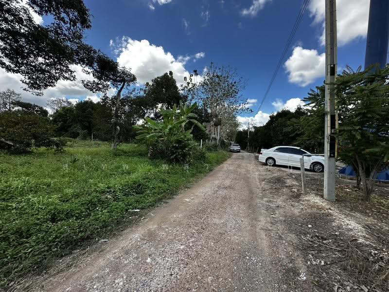 Land for Sale at Only THB 2,505/sq.wah Elevated Above Road Level, No Land Filling Required 1-0-67, Rayong, Ban Laeng, Muang Rayong, Rayong, , 1,868 sqm, Land For Sale, by สุเทพ พสุวณิชย์กุล, 500177023 - DDproperty.com