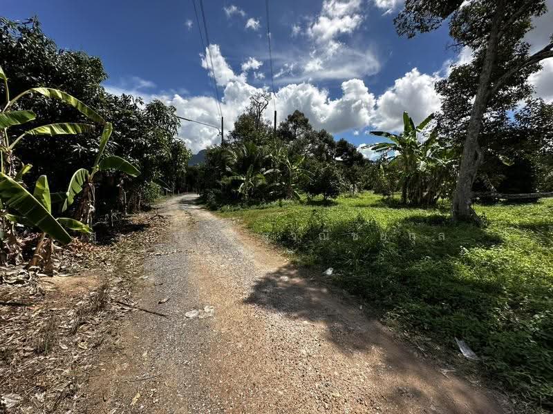 Land for Sale at Only THB 2,505/sq.wah Elevated Above Road Level, No Land Filling Required 1-0-67, Rayong, Ban Laeng, Muang Rayong, Rayong, , 1,868 sqm, Land For Sale, by สุเทพ พสุวณิชย์กุล, 500177023 - DDproperty.com
