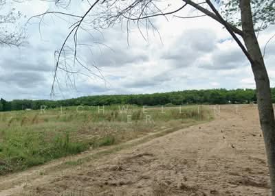 ขาย - ขายที่ดินปลวกแดง 3 ไร่ อรวินซอย5 ใกล้แยกมาบเตย2กม., ระยอง