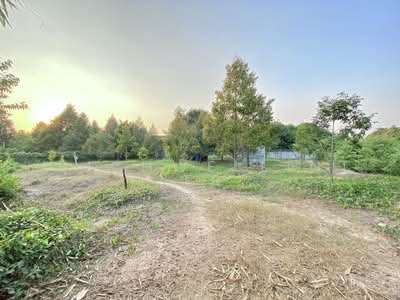 ขาย - ขายที่ดินตะพง 1 ไร่ ติดถนนคอนกรีต ใกล้ถนนเส้นสุขุมวิท3-5กม. อ.เมืองระยอง, ระยอง