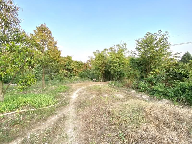 1 rai of land for sale in Tapong, Rayong City. Located next to a concrete road, 3-5 km, Rayong, Taphong, Muang Rayong, Rayong, , 2,184 sqm, Land For Sale, by richwellinter, 500177050 - DDproperty.com