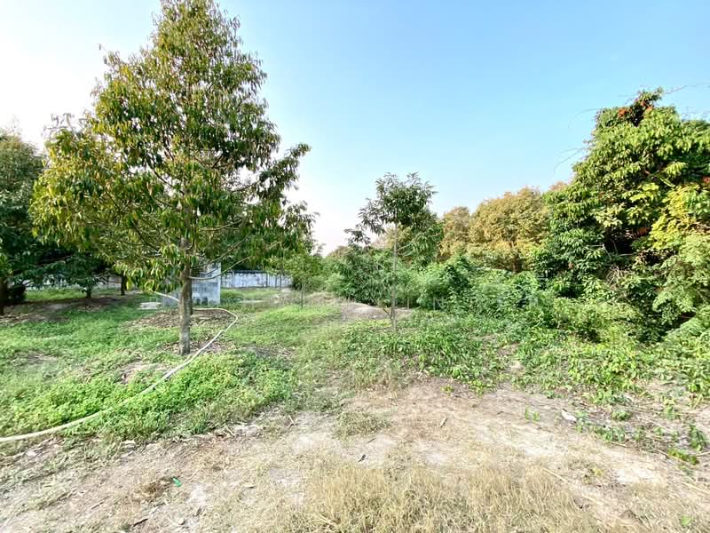 1 rai of land for sale in Tapong, Rayong City. Located next to a concrete road, 3-5 km, Rayong, Taphong, Muang Rayong, Rayong, , 2,184 sqm, Land For Sale, by richwellinter, 500177050 - DDproperty.com