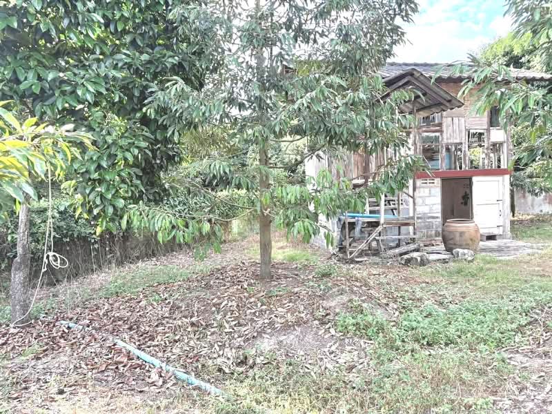 1 rai of land for sale in Tapong, Rayong City. Located next to a concrete road, 3-5 km, Rayong, Taphong, Muang Rayong, Rayong, , 2,184 sqm, Land For Sale, by richwellinter, 500177050 - DDproperty.com