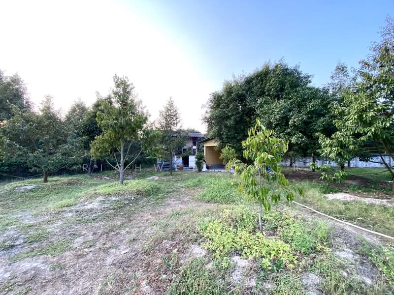 1 rai of land for sale in Tapong, Rayong City. Located next to a concrete road, 3-5 km, Rayong, Taphong, Muang Rayong, Rayong, , 2,184 sqm, Land For Sale, by richwellinter, 500177050 - DDproperty.com