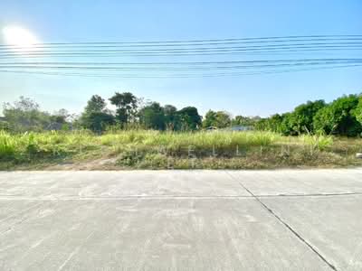 ขาย - ขายที่ดินบ้านแลงถมแล้ว 215 ตรว. ใกล้ถนนเส้น4038-1.1กม. อ.เมืองระยอง, ระยอง