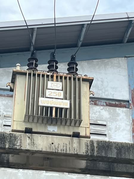 ขาย/ให้เช่าโรงงาน 345 ตารางวา ใช้งานได้เต็มพื้นที่ ตัว OFFICE ด้านหน้า 2 ชั้น ตัวโรงงานด้านหลัง, Samut Sakhon, Khlong Madua, Krathum Baen, Samut Sakhon, , 1,300 sqm, Warehouse/Factory For Sale, by Forty-Six Real Estate Group, 500177055 - DDproperty.com