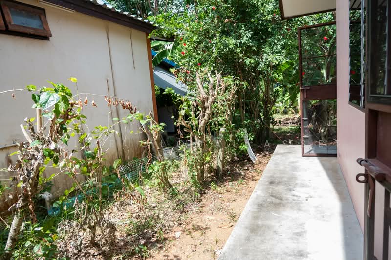 บ้านให้เช่าโซนไสยวน ราไวย์ ภูเก็ต, ภูเก็ต, ราไวย์, เมืองภูเก็ต, ภูเก็ต, 160 ตร.ม., บ้านเดี่ยว ให้เช่า, โดย Prime Global Asset (Mark), 500177056 - DDproperty.com