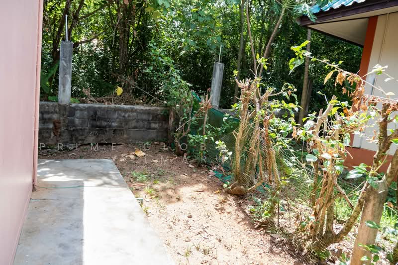 บ้านให้เช่าโซนไสยวน ราไวย์ ภูเก็ต, ภูเก็ต, ราไวย์, เมืองภูเก็ต, ภูเก็ต, 160 ตร.ม., บ้านเดี่ยว ให้เช่า, โดย Prime Global Asset (Mark), 500177056 - DDproperty.com