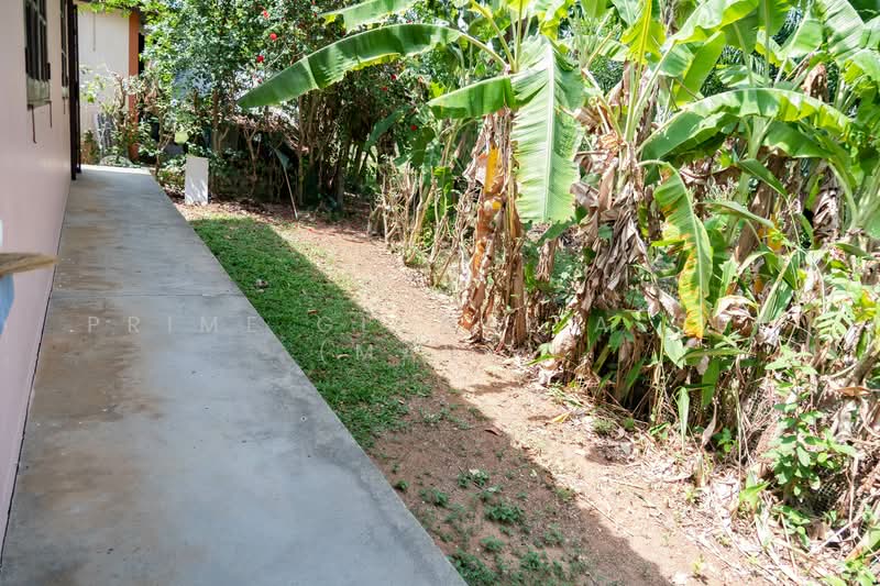 House for rent Saiyuan Rawai Phuket, Phuket, Rawai, Muang Phuket, Phuket, 2 Bedrooms, 160 sqm, Single Detached House For Rent, by Prime Global Asset (Mark), 500177056 - DDproperty.com