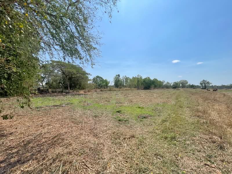 ที่ดินเขวา มหาสารคาม, Maha Sarakham, Khaow, Muang Maha Sarakham, Maha Sarakham, , 71,036 sqm, Land For Sale, by The Best Property โมทย์, 500177066 - DDproperty.com