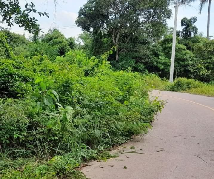 ขาย - ขายที่ดินบ้านพระ 1 ไร่ ติดถนนลาดยาง ใกล้ถ.สุวรรณศร33ตัดใหม่-2.3กม. อ.เมืองปราจีนบุรี, ปราจีนบุรี