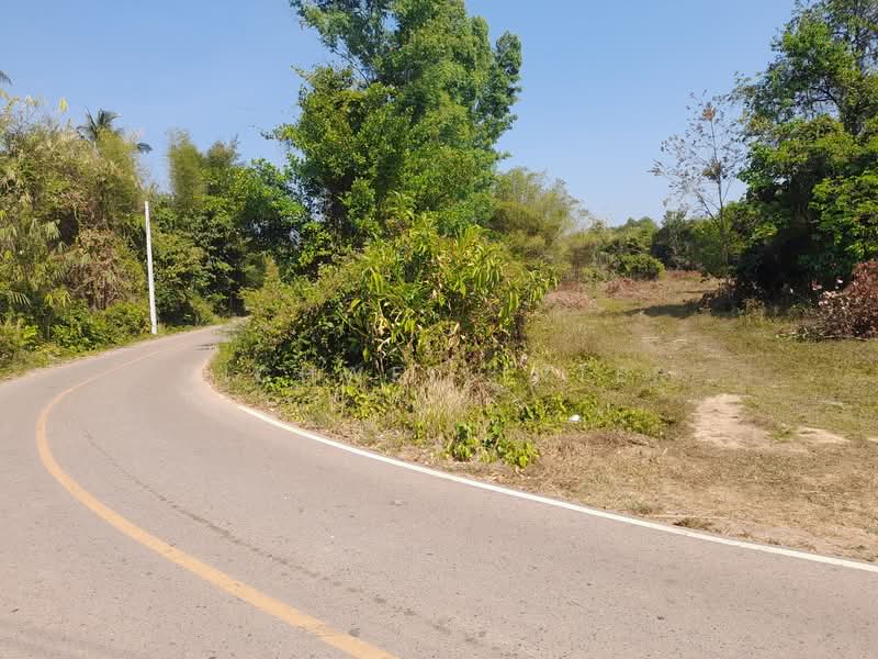 ขาย - ขายที่ดินบ้านพระ 1 ไร่ ติดถนนลาดยาง ใกล้ถ.สุวรรณศร33ตัดใหม่-2.3กม. อ.เมืองปราจีนบุรี, ปราจีนบุรี