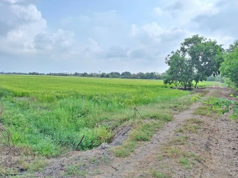 ที่ดินลำลูกกา ปทุมธานี, Pathum Thani, Lam Luk Ka, Lam Luk Ka, Pathum Thani, , 13,628 sqm, Land For Sale, by The Best Property หาญ, 500177105 - DDproperty.com