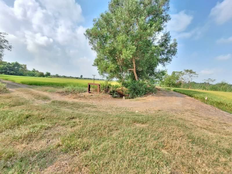 ที่ดินลำลูกกา ปทุมธานี, Pathum Thani, Lam Luk Ka, Lam Luk Ka, Pathum Thani, , 13,628 sqm, Land For Sale, by The Best Property หาญ, 500177105 - DDproperty.com