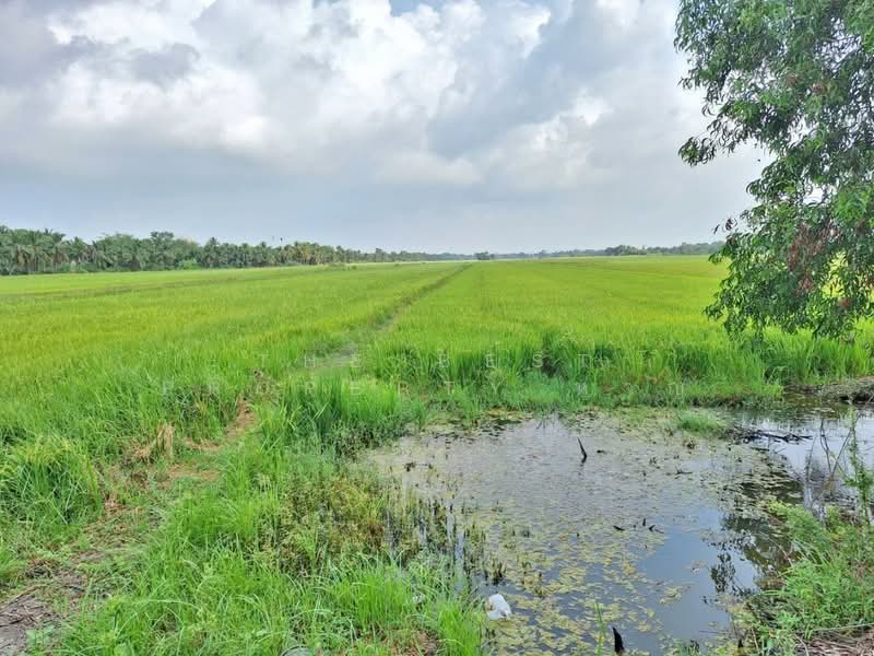 ที่ดินลำลูกกา ปทุมธานี, ปทุมธานี, ลำลูกกา, ลำลูกกา, ปทุมธานี, 13,628 ตร.ม., ที่ดิน ขาย, โดย The Best Property หาญ, 500177105 - DDproperty.com