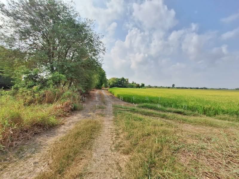 ที่ดินลำลูกกา ปทุมธานี, Pathum Thani, Lam Luk Ka, Lam Luk Ka, Pathum Thani, , 13,628 sqm, Land For Sale, by The Best Property หาญ, 500177105 - DDproperty.com