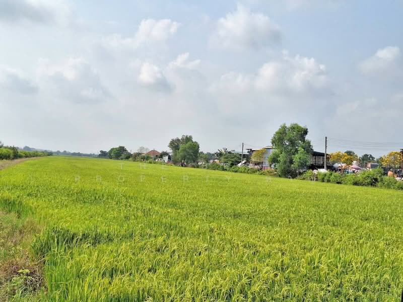 ที่ดินลำลูกกา ปทุมธานี, Pathum Thani, Lam Luk Ka, Lam Luk Ka, Pathum Thani, , 13,628 sqm, Land For Sale, by The Best Property หาญ, 500177105 - DDproperty.com