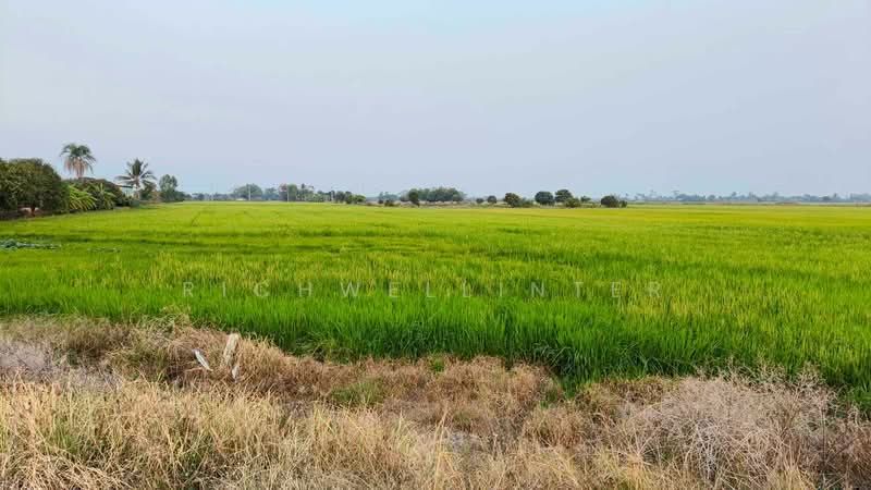 For Sale - 7 rai of land for sale in Bang Toei, adjacent to the 4-lane road 3481,, Prachin Buri