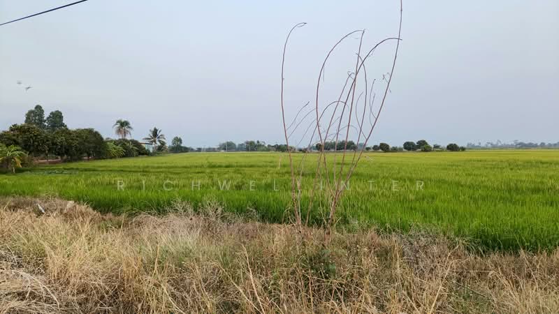 For Sale - 7 rai of land for sale in Bang Toei, adjacent to the 4-lane road 3481,, Prachin Buri