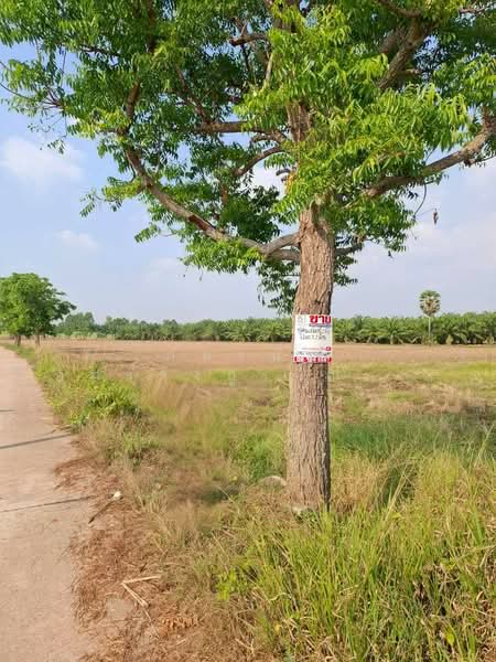 ที่ดินเปล่า ซอยร่วมใจ 2 ถนนเกาะจันทร์ ตำบลท่าบุญมี อำเภอเกาะจันทร์ จังหวัดชลบุรี, Chon Buri (Pattaya), หมายเลข3341, Phanat Nikhom, Phanat Nikhom, Chon Buri (Pattaya), , 44,120 sqm, Land For Sale, by ภัทรนัน อิศรางกูร ณ อยุธยา, 500177124 - DDproperty.com