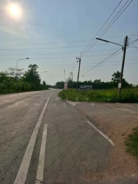 ที่ดินเปล่า ซอยร่วมใจ 2 ถนนเกาะจันทร์ ตำบลท่าบุญมี อำเภอเกาะจันทร์ จังหวัดชลบุรี, Chon Buri (Pattaya), หมายเลข3341, Phanat Nikhom, Phanat Nikhom, Chon Buri (Pattaya), , 44,120 sqm, Land For Sale, by ภัทรนัน อิศรางกูร ณ อยุธยา, 500177124 - DDproperty.com