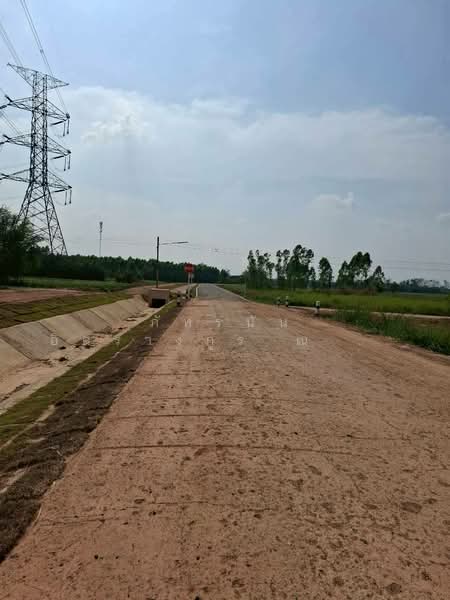 ที่ดินเปล่า ซอยร่วมใจ 2 ถนนเกาะจันทร์ ตำบลท่าบุญมี อำเภอเกาะจันทร์ จังหวัดชลบุรี, Chon Buri (Pattaya), หมายเลข3341, Phanat Nikhom, Phanat Nikhom, Chon Buri (Pattaya), , 44,120 sqm, Land For Sale, by ภัทรนัน อิศรางกูร ณ อยุธยา, 500177124 - DDproperty.com