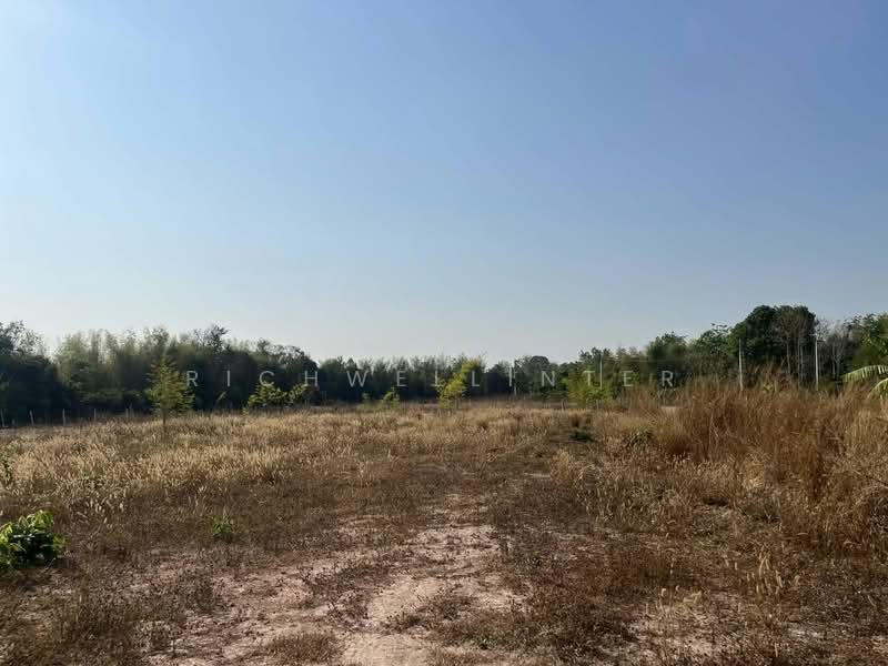 Land for sale in Wang Dan, with existing buildings, 3 rai (approximately 1.2 acres),, Prachin Buri, Wang Dan, Kabin Buri, Prachin Buri, , 4,800 sqm, Land For Sale, by richwellinter, 500177133 - DDproperty.com