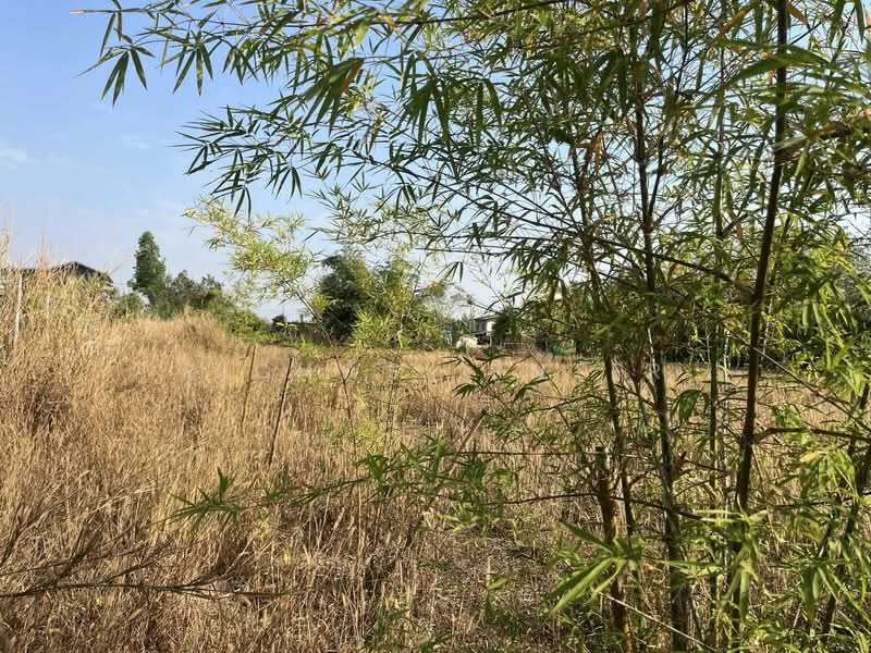 Land for sale in Wang Dan, with existing buildings, 3 rai (approximately 1.2 acres),, Prachin Buri, Wang Dan, Kabin Buri, Prachin Buri, , 4,800 sqm, Land For Sale, by richwellinter, 500177133 - DDproperty.com