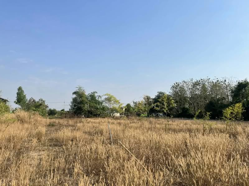 Land for sale in Wang Dan, with existing buildings, 3 rai (approximately 1.2 acres),, Prachin Buri, Wang Dan, Kabin Buri, Prachin Buri, , 4,800 sqm, Land For Sale, by richwellinter, 500177133 - DDproperty.com
