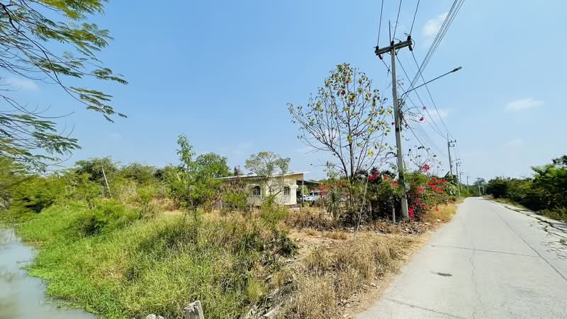 Land For Sale, Pathum Thani, Ban Ngiu, Sam Khok, Pathum Thani, , 8,000 sqm, Land For Sale, by Natthaphat Ruangpracha, 500177158 - DDproperty.com