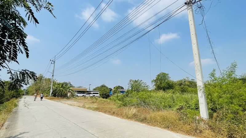 Land For Sale, Pathum Thani, Ban Ngiu, Sam Khok, Pathum Thani, , 8,000 sqm, Land For Sale, by Natthaphat Ruangpracha, 500177158 - DDproperty.com