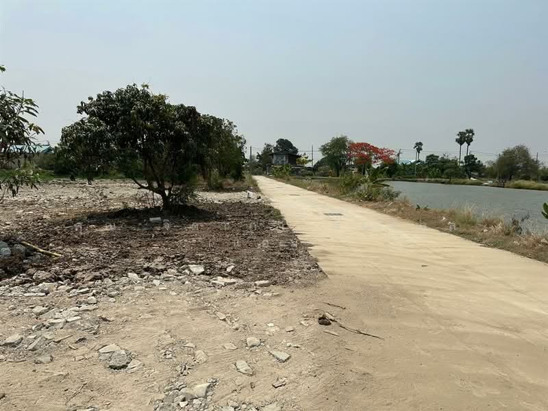 ที่ดินเปล่า 208.5 ตร.ว. ที่ดินเปล่า ซอยพรพัฒนา1 ถนนวัดศรีวารีน้อย, Samut Prakan, ถนนวัดศรีวารีน้อย, Bang Chalong, Bang Plee, Samut Prakan, , 832 sqm, Land For Sale, by คุณ จิดาภา พันธุกุล (แอม), 500177178 - DDproperty.com