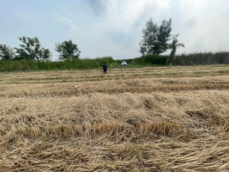 ศีรษะกระบือ, Nakhon Nayok, Srisa Krabu, Ongkharak, Nakhon Nayok, 2 Bedrooms, 598 sqm, Single Detached House For Sale, by Thanandon Wongsa, 500177194 - DDproperty.com