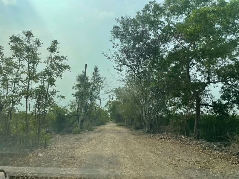 ศีรษะกระบือ, Nakhon Nayok, Srisa Krabu, Ongkharak, Nakhon Nayok, 2 Bedrooms, 598 sqm, Single Detached House For Sale, by Thanandon Wongsa, 500177194 - DDproperty.com