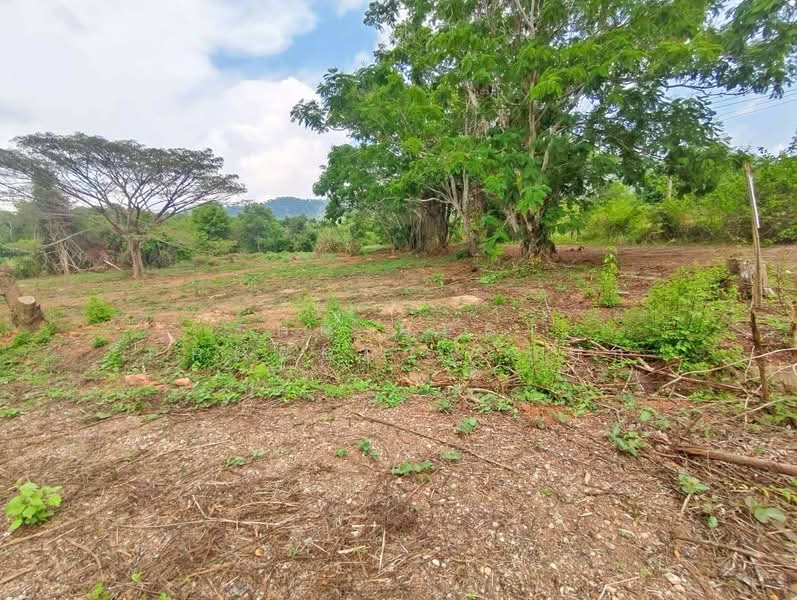 ที่ดินแก่งหางแมว จันทบุรี, Chanthaburi, Khao Wongkot, Kaeng Hang Maeo, Chanthaburi, , 3,000 sqm, Land For Sale, by The Best Property หยก, 500177197 - DDproperty.com