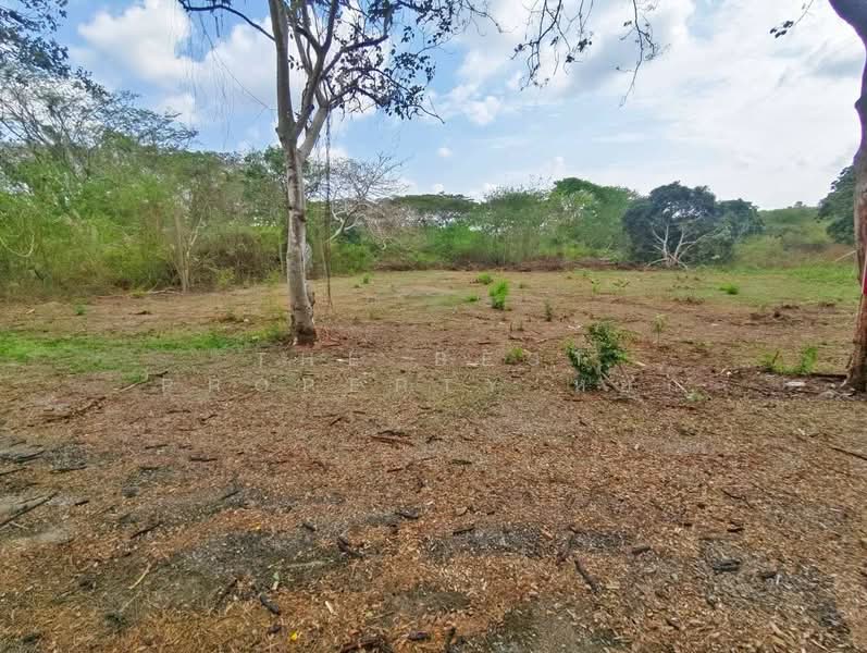 ที่ดินแก่งหางแมว จันทบุรี, จันทบุรี, เขาวงกต, แก่งหางแมว, จันทบุรี, 3,000 ตร.ม., ที่ดิน ขาย, โดย The Best Property หยก, 500177197 - DDproperty.com