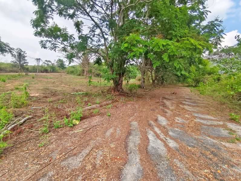 ที่ดินแก่งหางแมว จันทบุรี, Chanthaburi, Khao Wongkot, Kaeng Hang Maeo, Chanthaburi, , 3,000 sqm, Land For Sale, by The Best Property หยก, 500177197 - DDproperty.com
