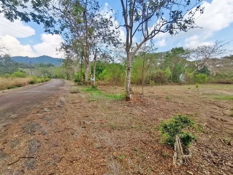 ที่ดินแก่งหางแมว จันทบุรี, จันทบุรี, เขาวงกต, แก่งหางแมว, จันทบุรี, 3,000 ตร.ม., ที่ดิน ขาย, โดย The Best Property หยก, 500177197 - DDproperty.com