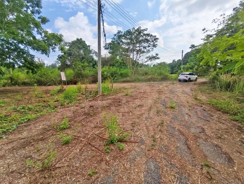 ที่ดินแก่งหางแมว จันทบุรี, Chanthaburi, Khao Wongkot, Kaeng Hang Maeo, Chanthaburi, , 3,000 sqm, Land For Sale, by The Best Property หยก, 500177197 - DDproperty.com