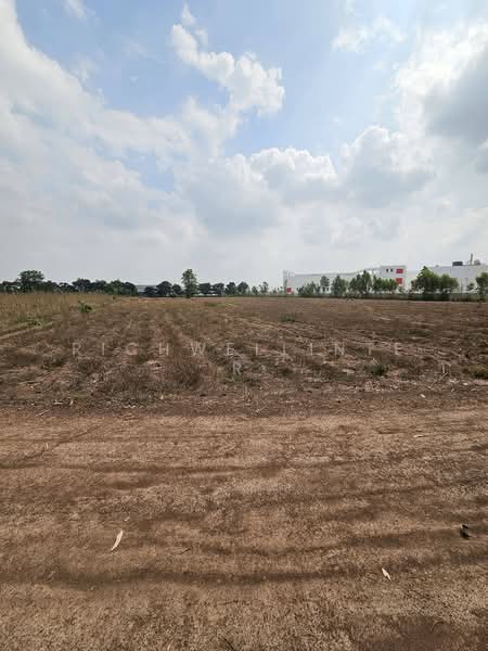 Land for sale in Hua Wa, 16 rai, behind Rojana Industrial Park, Prachinburi., Prachin Buri, Hua Wa, Sri Maha Pho, Prachin Buri, , 26,748 sqm, Land For Sale, by richwellinter, 500177220 - DDproperty.com