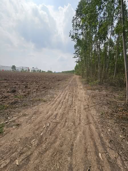 Land for sale in Hua Wa, 16 rai, behind Rojana Industrial Park, Prachinburi., Prachin Buri, Hua Wa, Sri Maha Pho, Prachin Buri, , 26,748 sqm, Land For Sale, by richwellinter, 500177220 - DDproperty.com