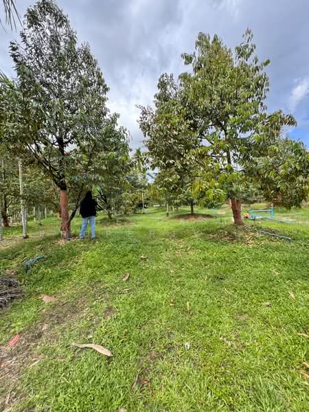 For Sale - ที่ดินเขาคิชฌกูฏ จันทบุรี, Chanthaburi