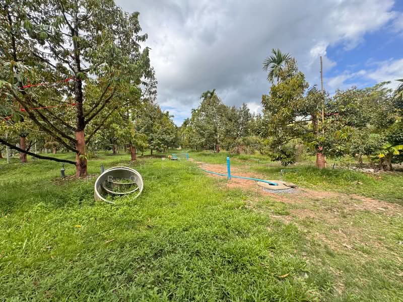 ขาย - ที่ดินเขาคิชฌกูฏ จันทบุรี, จันทบุรี