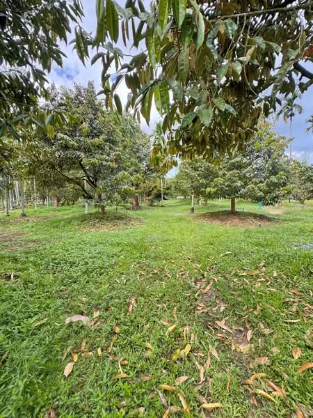 For Sale - ที่ดินเขาคิชฌกูฏ จันทบุรี, Chanthaburi