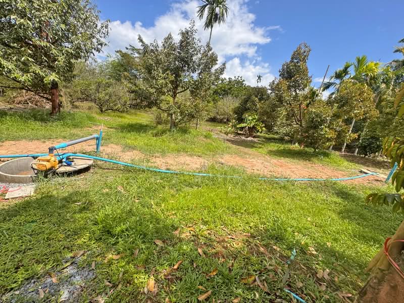 For Sale - ที่ดินเขาคิชฌกูฏ จันทบุรี, Chanthaburi