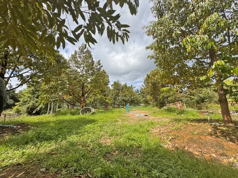 For Sale - ที่ดินเขาคิชฌกูฏ จันทบุรี, Chanthaburi