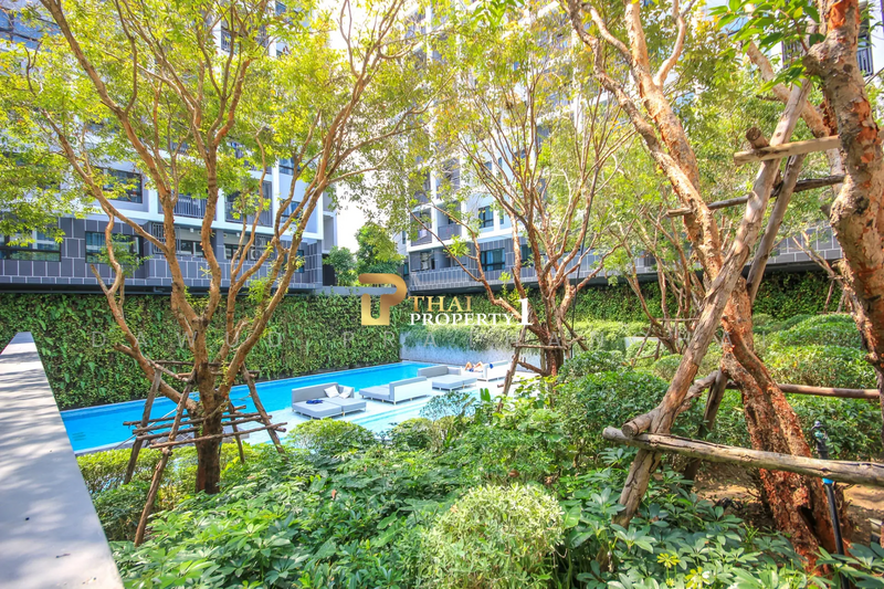 Dusit D2 Residences Hua Hin, Prachuap Khiri Khan, Petchkasem Road, Nong Kae, Hua Hin, Prachuap Khiri Khan, 1 Bedroom, 41 sqm, Condo For Sale, by Dawud Prathanchai, 500177230 - DDproperty.com