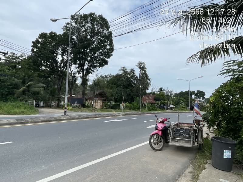 อาคารพาณิชย์/ตึกแถว ถนน ป่าคลอก ถลาง จังหวัด ภูเก็ต, Phuket, Pa Khlok, Thalang, Phuket, , 170 sqm, Shophouse For Sale, by Thanandon Wongsa, 500177237 - DDproperty.com