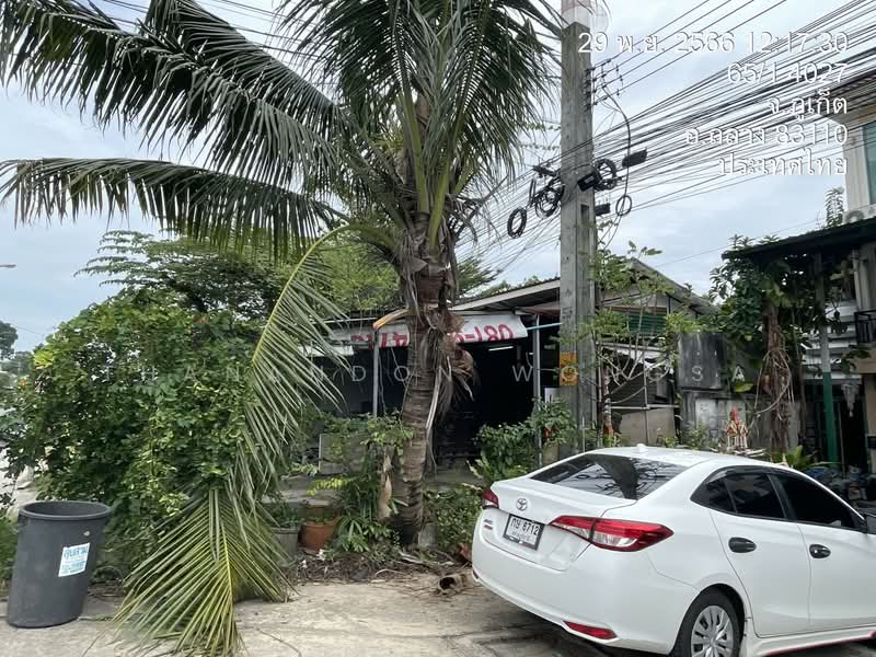 ขาย - อาคารพาณิชย์/ตึกแถว ถนน ป่าคลอก ถลาง จังหวัด ภูเก็ต, ภูเก็ต