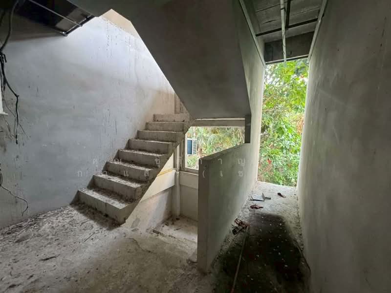 Nisachon : นิศาชล, กรุงเทพ, ซอย บางแวก 79, คลองขวาง, ภาษีเจริญ, กรุงเทพ, 250 ตร.ม., ทาวน์เฮ้าส์ ขาย, โดย คุณ ชุติกาญจน์ กล่ำแสง (เชอรี่), 500177255 - DDproperty.com